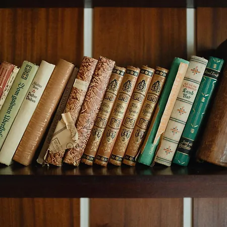 Homely - Library Style , Wooden Walls , Spacious , Friedrichshain