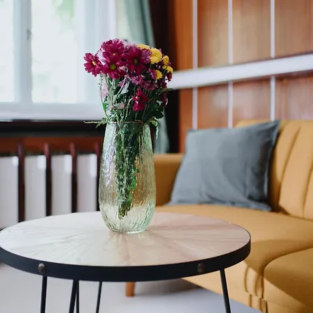 Apartman Homely - Library Style , Wooden Walls , Spacious , Friedrichshain *