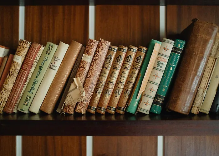 Homely - Library Style , Wooden Walls , Spacious , Friedrichshain